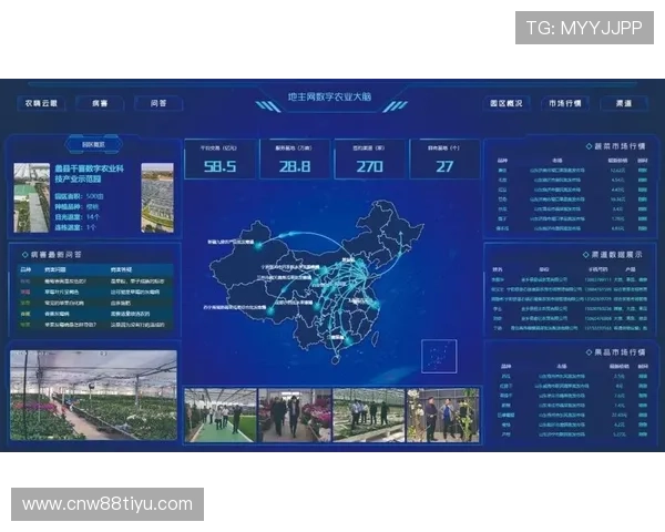 开云KY数字站建设要点详解：如何打造高效、稳定的企业数字展示平台