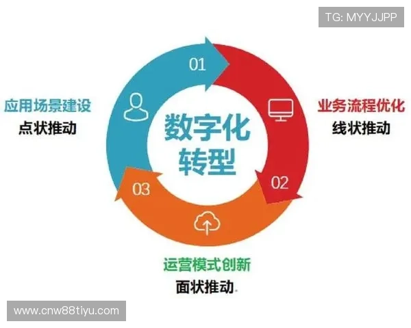 半岛星空体育：助力体育产业数字化转型实现行业持续快速发展