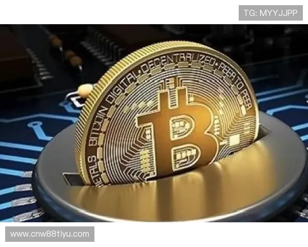 尊龙凯时数字站：全面解析其安全性与稳定性保障措施